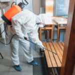 How Do German Cockroaches Get Into Your House?