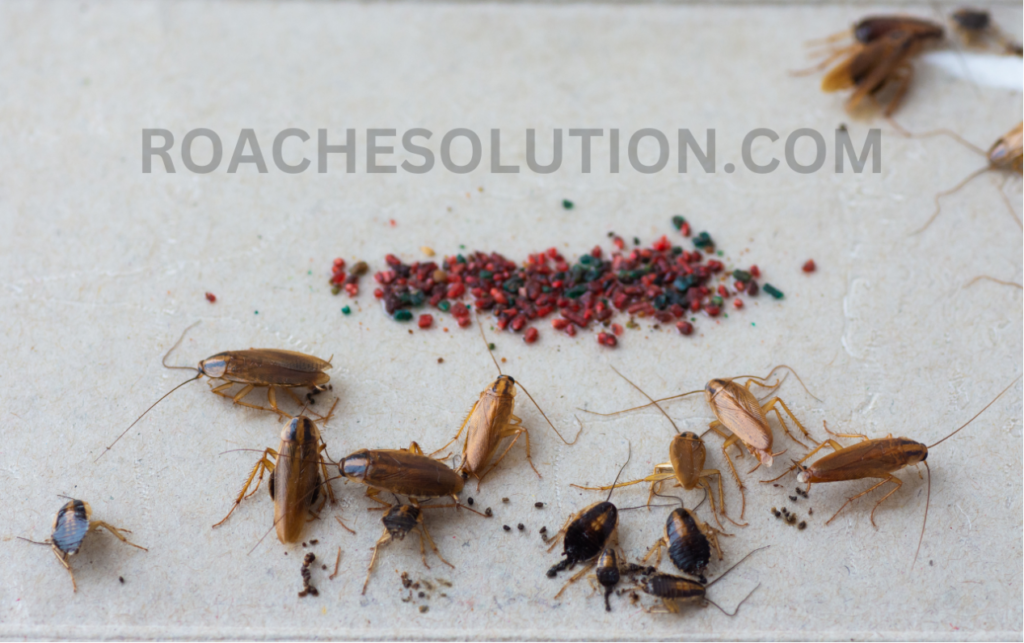 Cockroach resilience facts