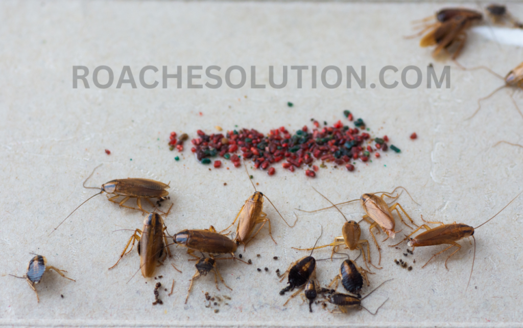 Cockroach infestation smell